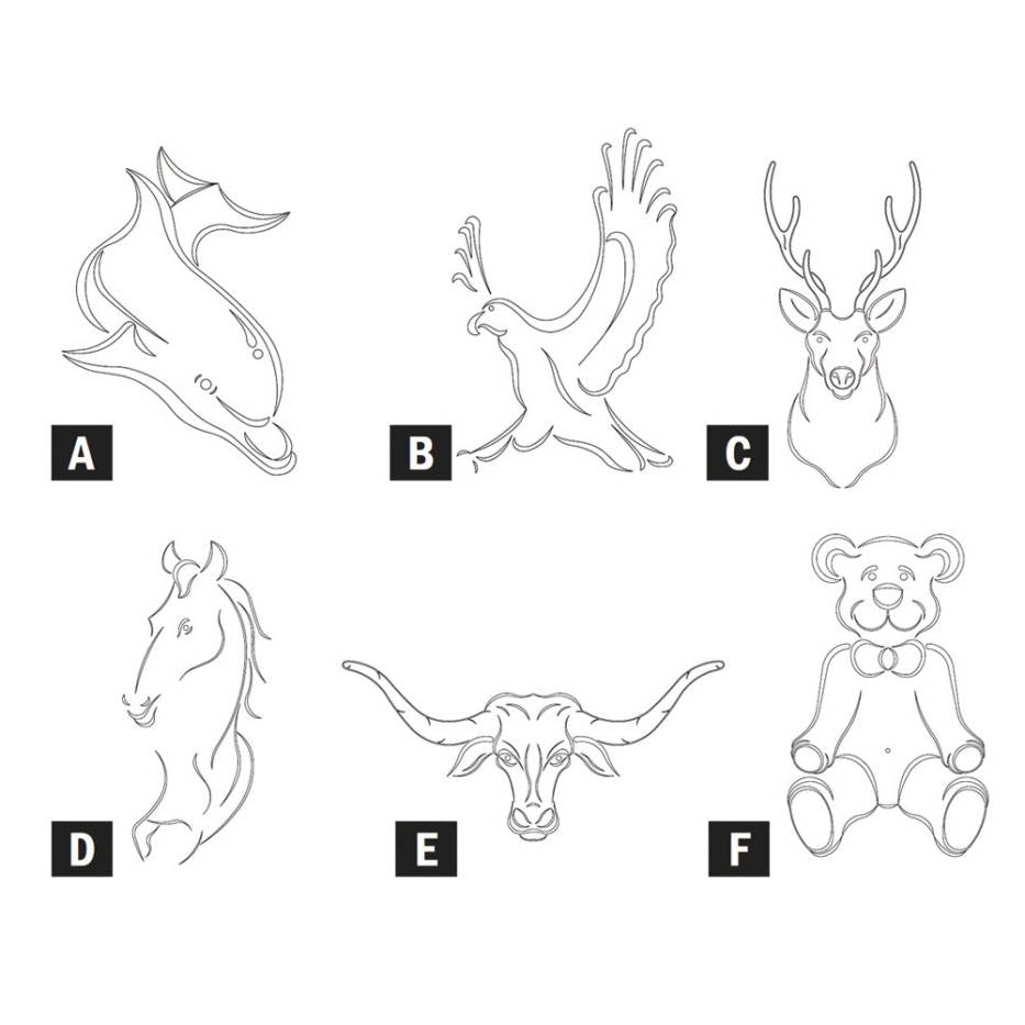 Système de sculpture 3D Carver - Décorations pour les amoureux des animaux